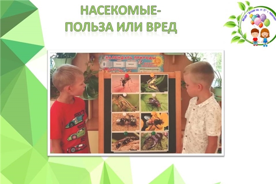 Насекомые- польза или вред