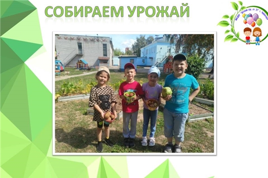 Собираем урожай