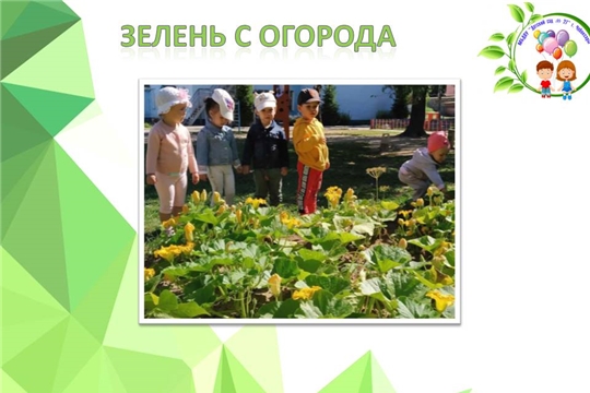 Зелень с огорода