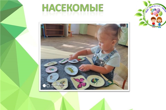 Насекомые