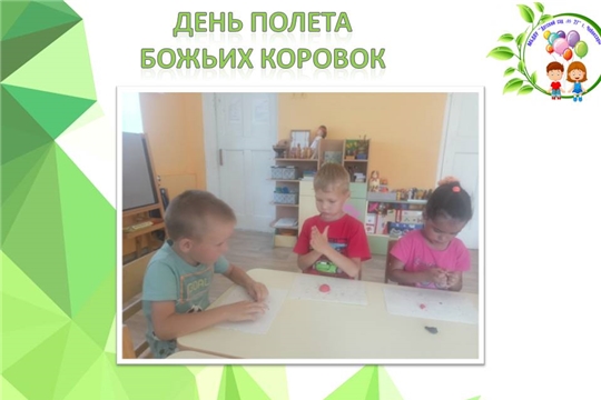 День полета божьих коровок