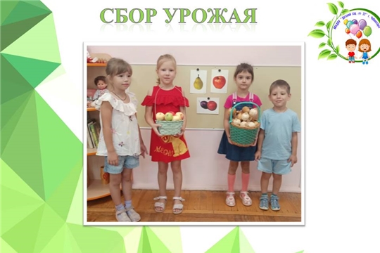Сбор урожая