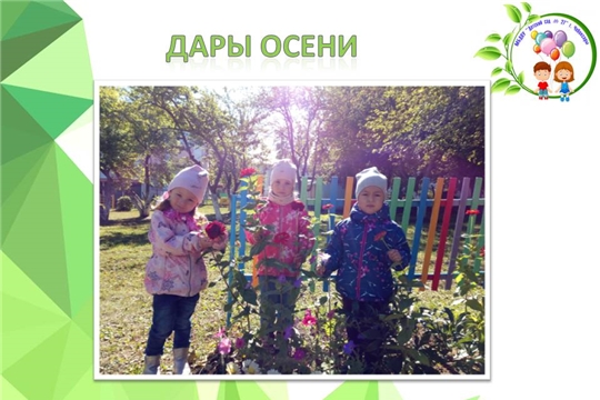 Дары осени