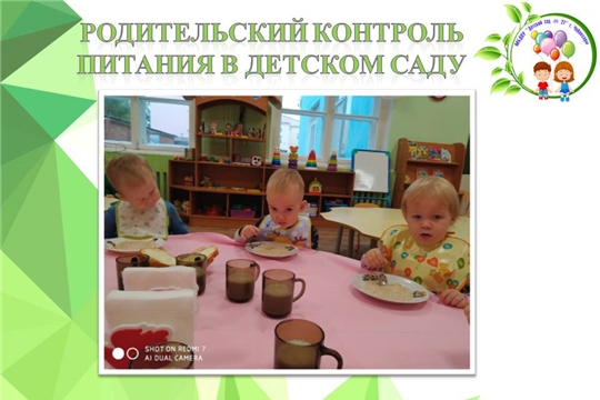 Родительский контроль питания в детском саду