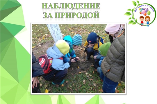 Наблюдение за природой
