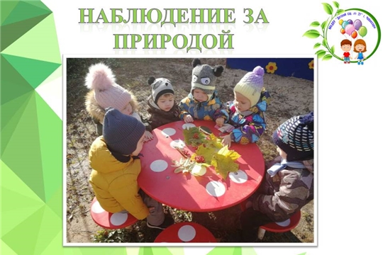Наблюдение за природой