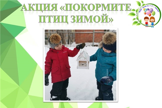 Акция "Покормите птиц зимой!