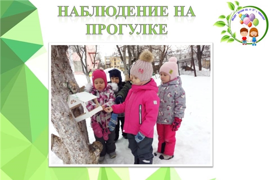 Наблюдение на прогулке