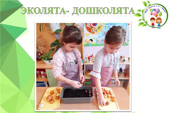 Эколята- дошколята