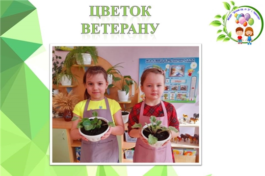 Цветок ветерану