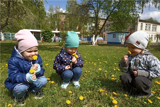 Всемирный день одуванчиков