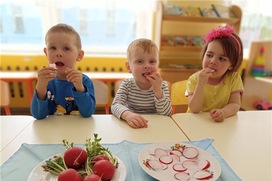 Польза редиса