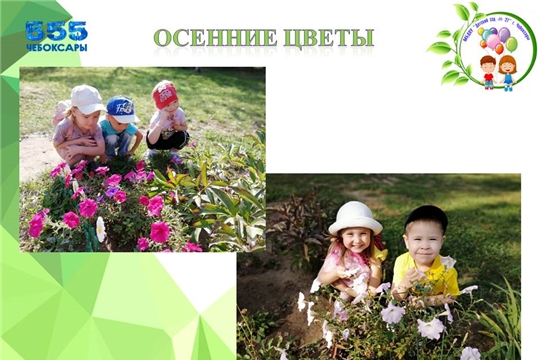 Осенние цветы