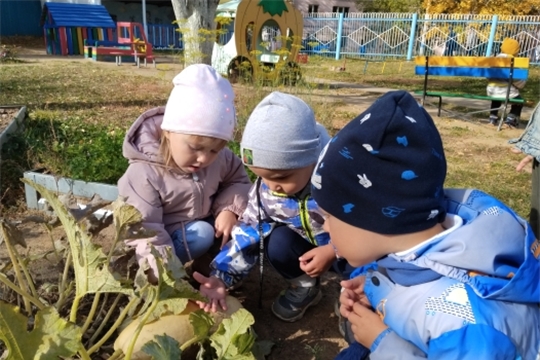 Дары осени