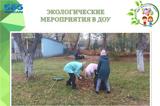 Экологические мероприятия в ДОУ