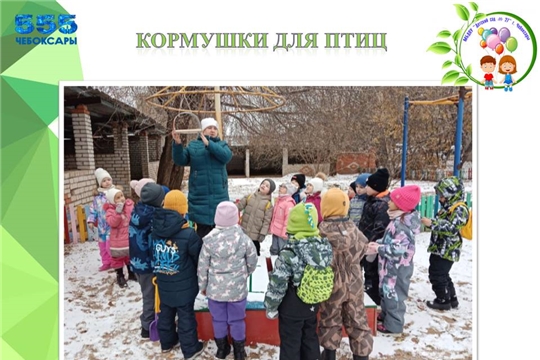 Кормушки для птиц