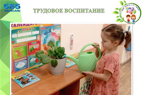 Трудовое воспитание