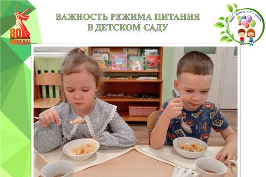 Важность режима питания в детском саду