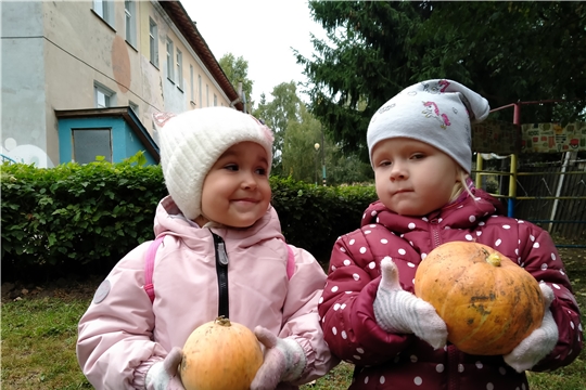 Урожай у нас хорош