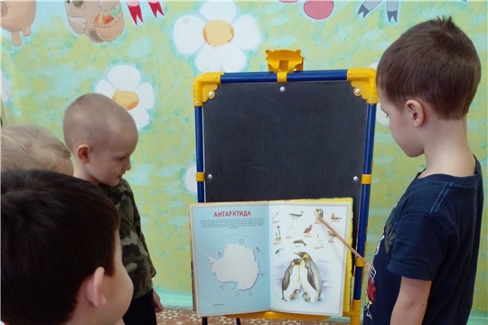 День пингвинов