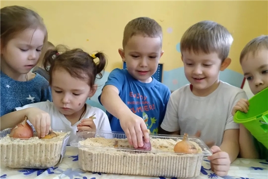 Огород на подоконнике