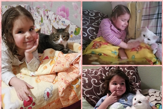 День кошек