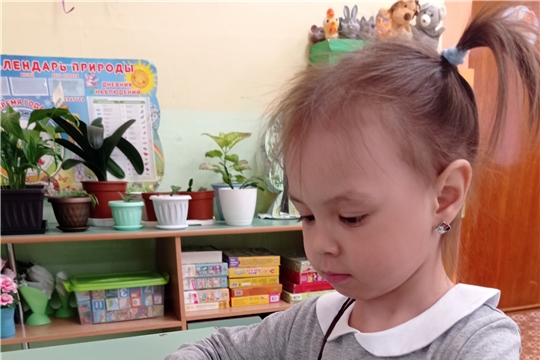 Солнце на грядке