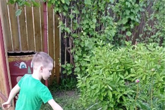 Полив цветов на клумбах