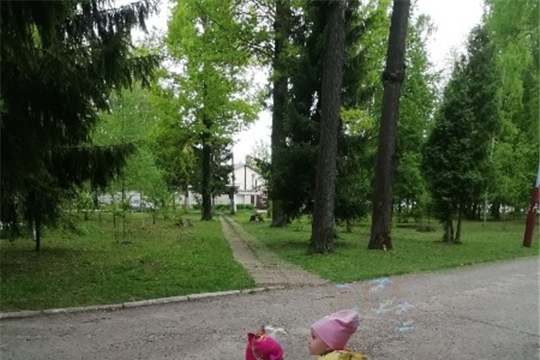 Мыльные пузыри