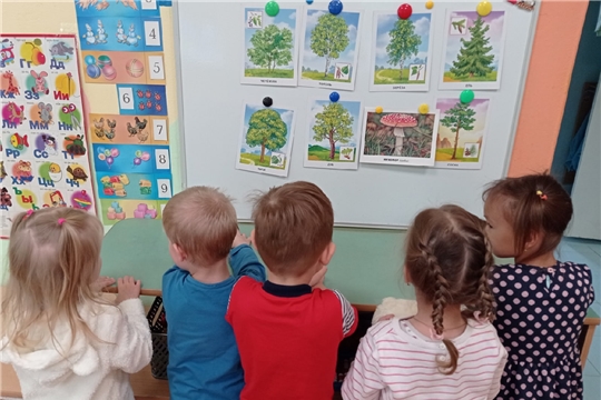 Лес – это целый мир! 