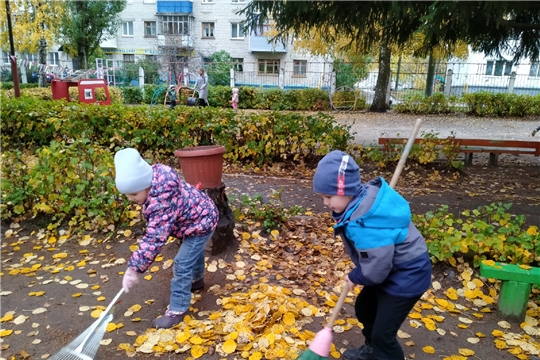 Вот и  наступила золотая осень