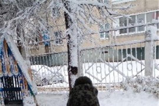 Первый снег
