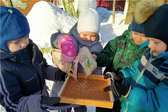 Зима для птиц – самое трудное время года