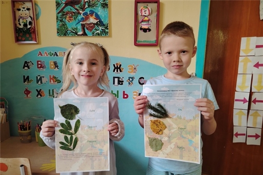 Краски осени