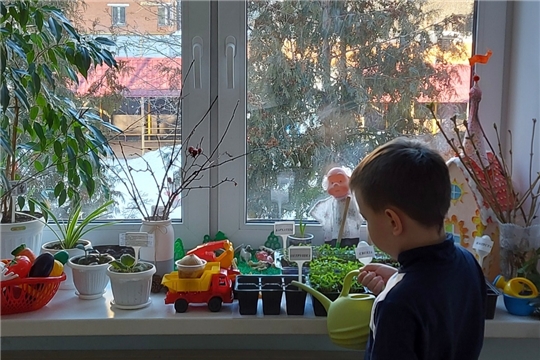 "Огород на подоконнике"