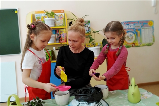 Стартовала городская акция "Цветок ветерану"