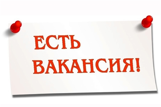 У нас открыты вакансии