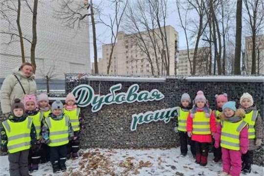 По родному краю с рюкзаком шагаю