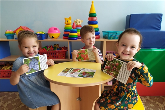 17.08.2021 Польза ягод