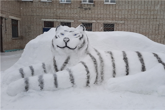 1.02.2022  Снежный тигр