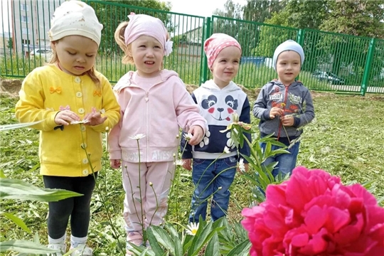 23.06.2022 "Правила безопасности при встрече с насекомыми на природе"