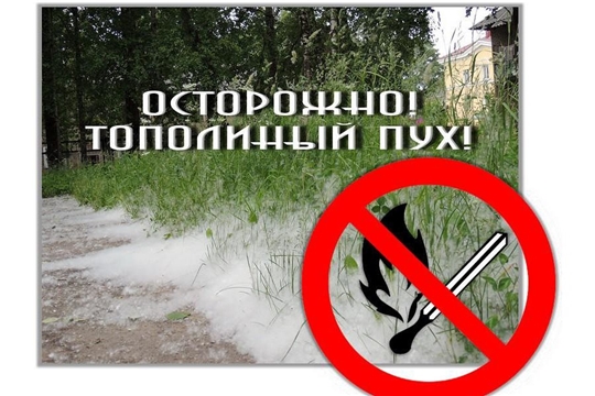 05.06.2023 "Осторожно!Тополиный пух!"