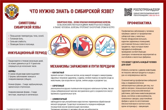 Сибирская язва