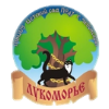 Муниципальное бюджетное дошкольное образовательное учреждение «Детский сад № 47 «Лукоморье» города Чебоксары Чувашской Республики
