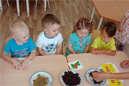 Ягода - полезная альтернатива конфетам