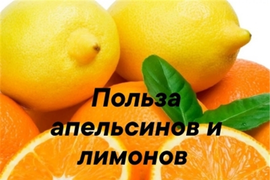 Польза апельсинов и лимонов