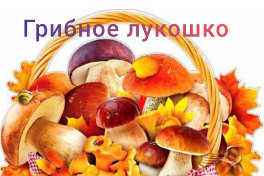 Грибное лукошко