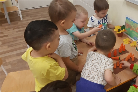 СенсориУм с малышами готовит запасы для зайчат