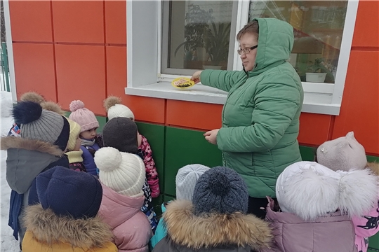Наблюдаем за птицами около кормушек