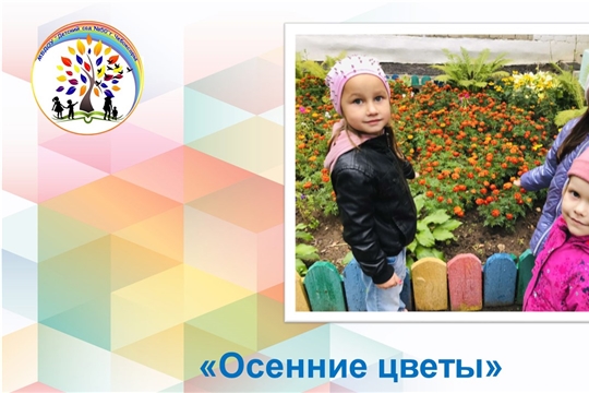 Осенние цветы